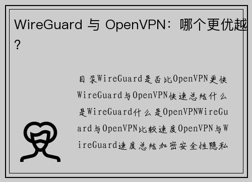 WireGuard 与 OpenVPN：哪个更优越？ 